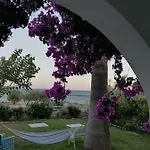 Nikoleta's * 드리오스