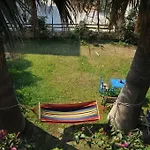 Nikoleta's