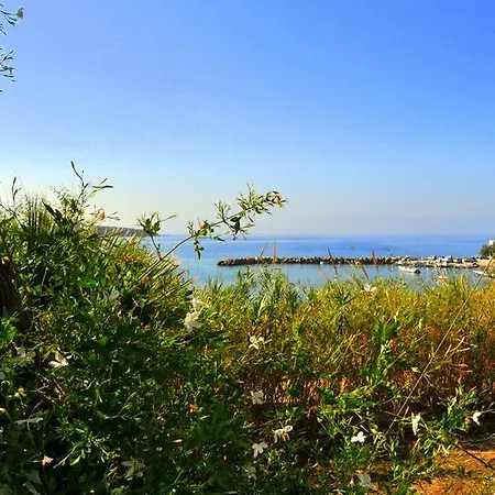 Nikoleta's