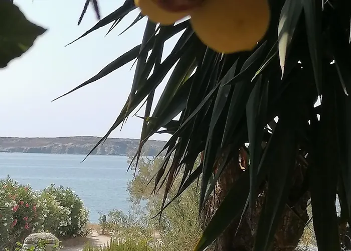 Nikoleta's Apartament *