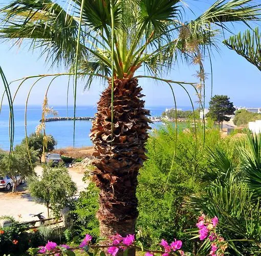 Apartament Nikoleta's