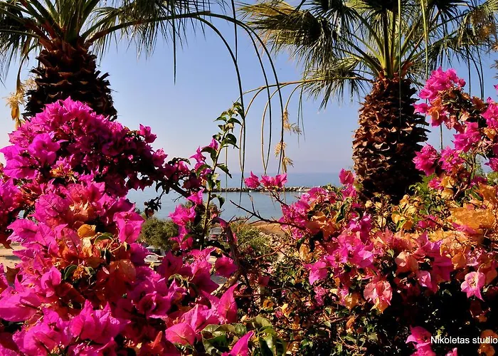 Apartament Nikoleta's *