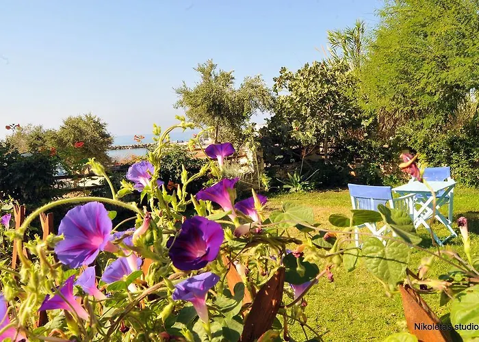 Apartament Nikoleta's *