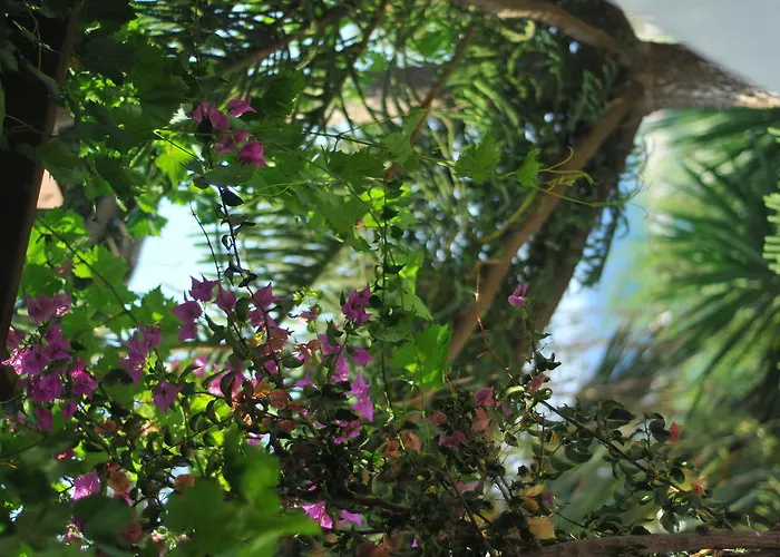 Apartament Nikoleta's Drios