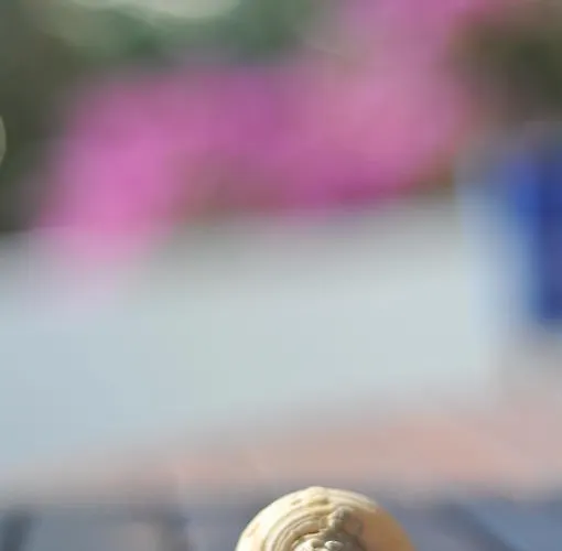 Apartament Nikoleta's *