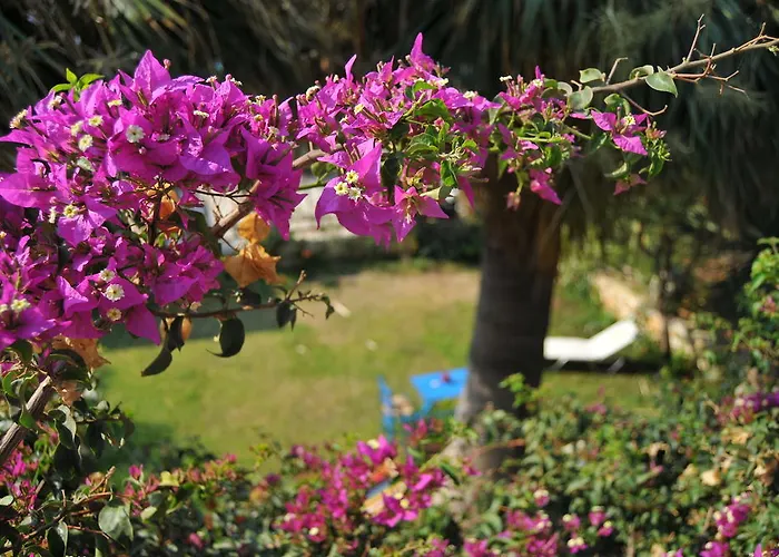 Apartament Nikoleta's *