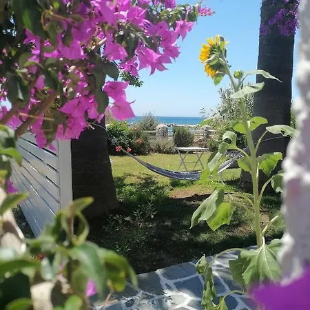 Nikoleta's Apartment Drios