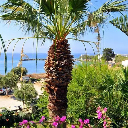 Apartment Nikoleta's