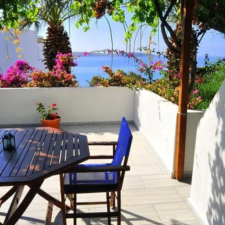 Nikoleta's Apartment