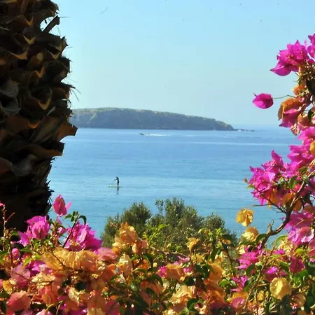 Nikoleta's Apartment Drios