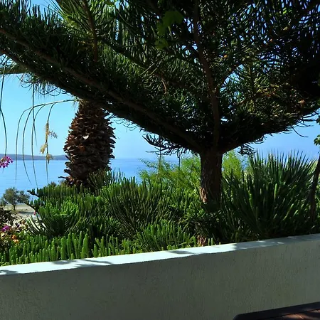 Nikoleta's Apartment