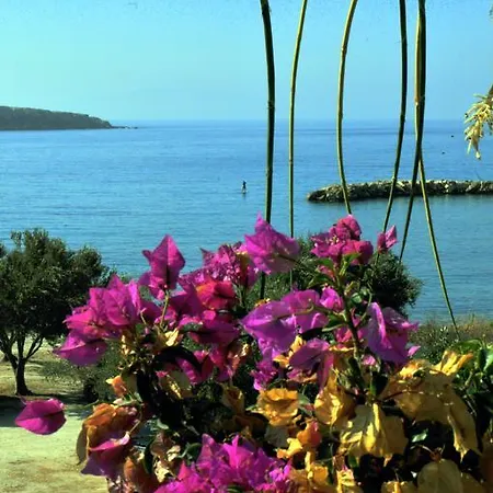Nikoleta's Studios *