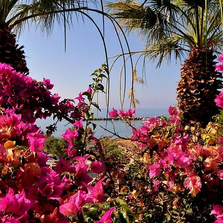 Apartment Nikoleta's *