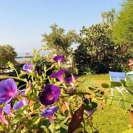 Apartment Nikoleta's *