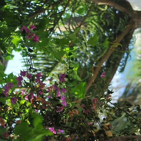 Apartment Nikoleta's Drios