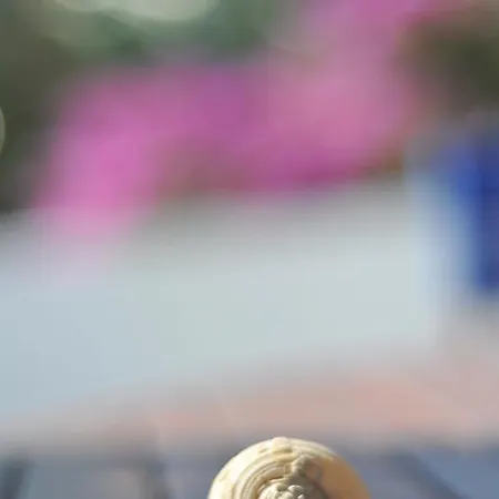 Apartment Nikoleta's *