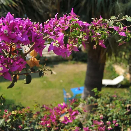 Apartment Nikoleta's *