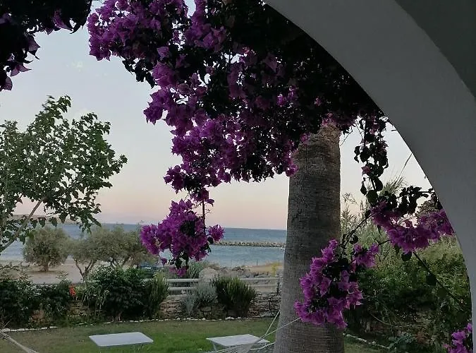 Nikoleta's * 드리오스