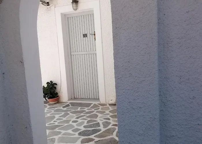 Nikoleta's 드리오스