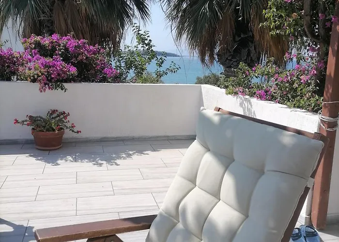 Nikoleta's 드리오스