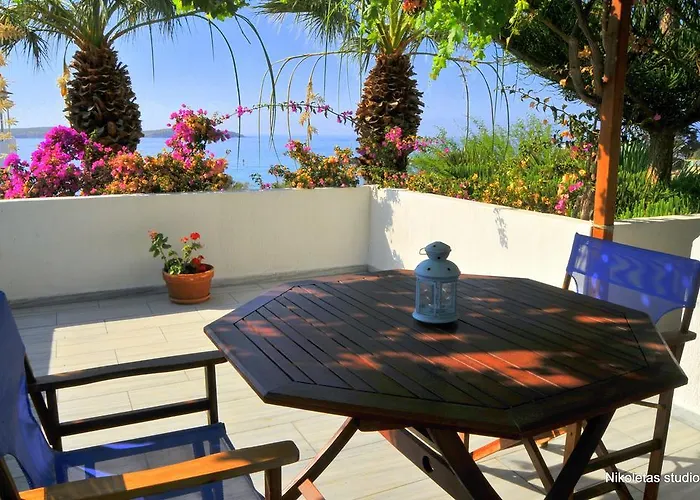 Nikoleta's 드리오스