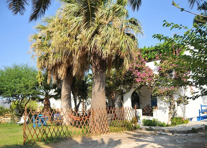 Nikoleta's 드리오스