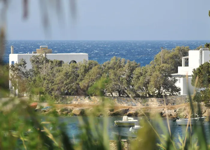 Nikoleta's 드리오스